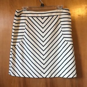 Classic Navy and white striped Skirt